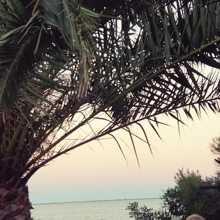 Ca La Merce 阿尔卡纳