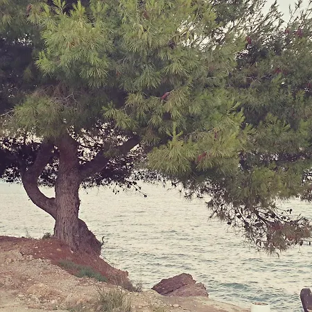 Ca La Merce 阿尔卡纳